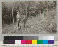 Field party from the S. Appalachian Exp. Station of the U.S. Forest Service at work making counts of reproduction on sample plots in Berea College Forest, Kentucky. F.W. Haasis at right is in charge of the work under Director Frothingham of Asheville