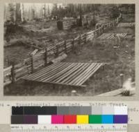 Experiemental seed beds. Walden tract. Humboldt State Redwood Park. Area fenced. See also 5795. March 1935. E. F