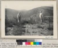 Max Cory and Wes Humphrey in grass plot, Black Star Canyon, Orange County. 1948 burn. Brush treated here with brush killer to check sprouts