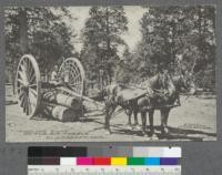 Hauling logs on the big wheels. Flagstaff, Arizona