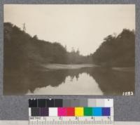 View of south fork of Gualala River at the forks. Oct. 1922