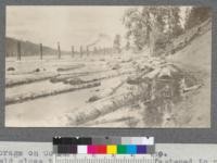 Log storage on Coeur d'Alene Lake, Idaho. Logs held close to shore by log boom fastened to piles. Rutledge Lumber Company