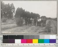 A forest planting demonstration in the 40-acre woodlot on sandy land, Charles Davis Ranch, Lompoc, California. Trees are mostly Coulter pine and Ponderosa pine in theis area. 1940. Metcalf