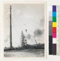 Redwood Region. William Hess' landing. Elk River. A "turn" of logs coming in from the woods. See also #7098-7101. Pole is 160' high. Slack-line system. 5-13-42, E.F