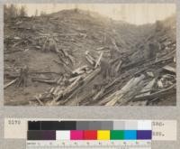 Redwood Utilization Study. After logging. Looking up gulch from stump #485. C. R. B. December, 1929