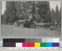Whitaker's Forest sawmill. Sugar pine and white fir logs of maximum size on the railing at Whitaker's Forest sawmill, July 1940. Several of these logs were nearly too large for the size of the mill which has a 58" diameter circular saw. Most of the logs sawn were cut from the adjacent property of Mr. Bell. Metcalf. "Sawmill + forest Product" [sic]