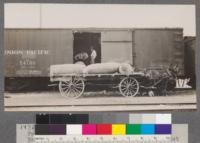 Farmers unloading wool at Chinook, Montana. Each sack weighs 200 lbs. and is worth about $100.00 in 1918. Havre, Montana