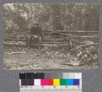 Cordwood removed as thinnings from second growth redwood. Forty years old (D. T. Mason). Stumpage 25 cents a cord. September 1922