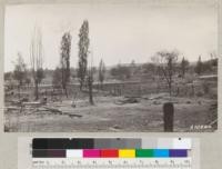 Ruins of town of Quartz, California, destroyed by brush fires of July 1925