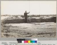 Tehachapi Flood Area. September 1932. Lower end of Tehachapi Creek in the alluvial valley where flood fanned out into the desert towards Bakersfield. October 1932. The cut bank here is over 2 ft. deep. Lowdermilk