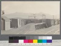 Elevated tramways in yards of the Weed Lumber Company, Weed, California. June, 1920. E.F