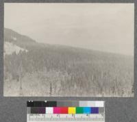 Looking north across the central cirque at head of American Creek watershed. Ridge shown at left of this view is the same as shown at right hand site of #1053-b. Note in the left foreground the clearing made by a snow slide with reproduction coming in. Peak at right background is Flatiron Mountain. Montana 1920. Metcalf