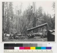 Redwood Region. L. D. Fox's operation for Hammond Redwood Company, Camp Grant, Humboldt County, California. To show type of loader used. An A frame and boom, powered with Pierce Arrow Auto Engine. 7-15-42. E.F