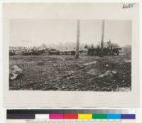 [No caption on photograph. Possibly shows members of the U.S. Army Signal Corps, Spruce Production Division (Spruce Squadron) and their logging operations in the Pacific Northwest during World War I.]