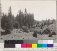 Redwood Region. Christine Woods near Navarro, California. The cut-over land for 15-20 years has been handled for grazing and grass seems to be well established. 3/24/41. E. F