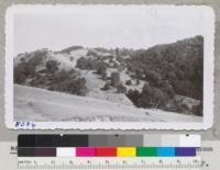 The Dry Creek area west of Healdsburg, Sonoma County, with south slopes slashed and burned and very badly overgrazed. 1946. Metcalf