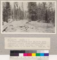 Plumas National Forest. University of California Permanent Sample Plot #2. Photo from southwest corner. Shows condition after logging and brush burning. Pine-fir type. June 25, 1921