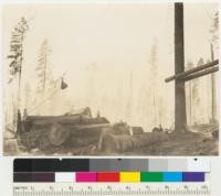 Redwood Region. "Slack-line" yarding outfit just dropping a log to landing for loading in trucks. See also # 6062-64. 8-21-36. E.F