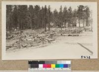 Ruins of hotel and store at Mohawk, Plumas County. Fire result of carelessness. W. Metcalf. May 1931