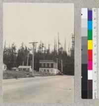 Retake of photo #908 taken in 1920 of north edge of Sequoia Park, Eureka, to show progress of death of redwood tops. Two views (#5540-5541) taken from corner of T St. & Evergreen Ave. Halfway between Harris & Hodgson Sts. 2 p.m. 8-5-32, E.F