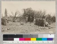 A controlled burn to transform a brush and scattered 2nd growth stand of yellow pine near Grass Valley into agricultural land under direction of State Forest Ranger Bill Sharp. May, 1926