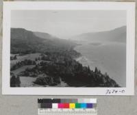 Looking up the Columbia River from high point on the road above Washougal, Wash. between Portland and Carson. Farm land and Douglas firs. Metcalf. October 1952