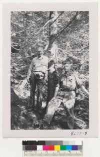 Carl Nordstrom & Herb Plumb and one of the Douglas firs planted by us in fall of 1912. Plantation has filled in with hemlock and cedar natural reproduction. Glacier National Forest, Washington. Metcalf. September 1952