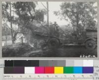 The root-pruning saw built by Richards Bros. of East 1st Street, Santa Ana, for cutting roots of Eucalyptus windbreaks to a depth of 60 inches. It is powered by a Ford v-8 engine. The saw teeth are removable for sharpening. 1940. Metcalf