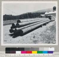 Chemonited white fir poles. Diamond Match Company, Stirling City, California. 6-20-45. E.F