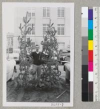 Osborne and two of the test lodgepole pine Christmas trees. These are too big to sell. Metcalf. Dec. 1952