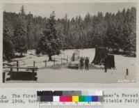 The first snowfall of 1934 at Whitaker's Forest, November 19th, turned the country into a veritable fairyland