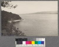 View down Tomales Bay from Inverness, California. Taken on Forestry 104 field trip. October 1920