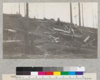 Redwood Utilization Study. General view of breakage looking west, over tree #1113. E. F. September 15, 1928