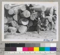 "Ranger Mac" Wakelin McNeel of Wisconsin beside redwood logs at mill near Booneville, Mendocino County. August 1951. Metcalf