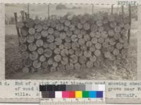 End of a rick of 14" blue-gum wood showing checking of wood in seasoning. Ben Johnson grove near Watsonville. August 1932. Metcalf