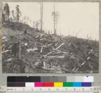 Slack-line logging. Redwood Region. Pacific Lumber Company Freshwater tract. View from Kneeland Prairie Road at crossing of logging railroad and toward a high pole (just right of center). Note loading boom. Logging completed. Note slash and absence of reserve trees. See also #6643. 9-28-39. E.F