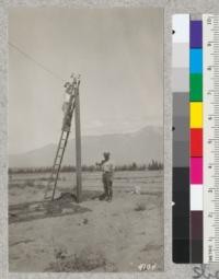 John Lundemo checking the anemometer at the Arrow Route tract, Fontana. Farm Advisor Wilder holds small anemometer. Sept., 1926