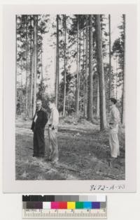 Hadsall, Goodmonson, and Seibert. Columbia County Fair Grounds, Oregon. Douglas fir thinning plot. Timber harvest tract 55 years old. Growth 1000 board feet/acre/yr. Thinned 4 times in 4 years. Will be cleared at the next cut and put into agricultural crops. Metcalf. Sept. 1952