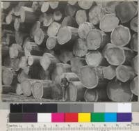 A redwood cold deck at Klamath California Redwood Company, Klamath, California. Logs are from Turwar Creek, and run from 24" to 87" in diameter. 6/28/40. E.F