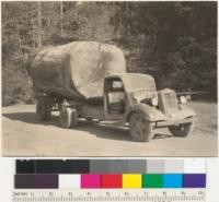 Redwood. Loading an 8' log to a Ford truck. Klamath-California Lumber Company operation near Klamath, California. Frank Fraser's contract. See also 6435-8. 8-16-37. E.F