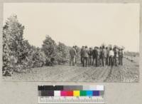 Windbreak tour in Orange County inspects a new planting of blue gum (Eucalyptus Globulus). Metcalf - 1937