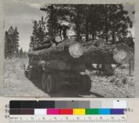 Load of Jeffrey Pine logs, Meadow Valley Lumber Company, 15 logs scaled 2970 feet; near Meadow Valley, California. June 7, 1939. E.F