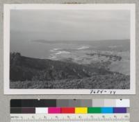 View of Carmel and Cypress Point from the Everett Smith home, east of Point Lobos Park. Carmel. Metcalf. Dec. 1952