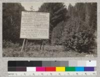 Sign near Navarro plant, Albion Lumber Company, Mendocino County. Clumps of California laurel sprouts at right