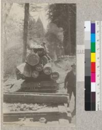 Second Growth Redwood Cutting Experiment, Project #688, Big River, Mendocino County, California. View showing a car of some of the larger logs loaded to go to the log dump. Note size of logs and width of sap wood. May 1923, E. Fritz