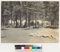 Camp Califorest. Line of tents west of Creek from near the office. Not in good focus. 6/22/36 E.F