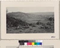 View of farmland and surrounding hills along the road from Napa to Monticello. W. Metcalf. April 13, 1950