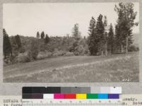 Nevada County. G.V. Robinson Ranch, Rough and Ready. Land in foreground cleared by cutting, fire, and goats. Note dense brush in background. Carrying capacity estimated to be increased at least five times by clearing. 4-7-28. H.E.M