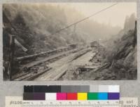 Redwood region. McKay & Company's Camp and loading works on Bear Gulch, Humboldt County. E. Fritz, October, 1929