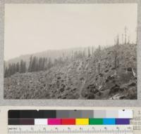One of a series of 17 views (#5547-5563) in panorama (entire 360 degrees) of surrounding logged-off area, from stump 1046 on University of California experimental area of 1928-30 in NW1/4 NE1/4 Sec. 1 T2S, R2E. Photo at noon in bright sun. E.F. July 7, 1932